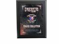 Forreston_FF_of_Year_Plaque_2016-276-875-245-80